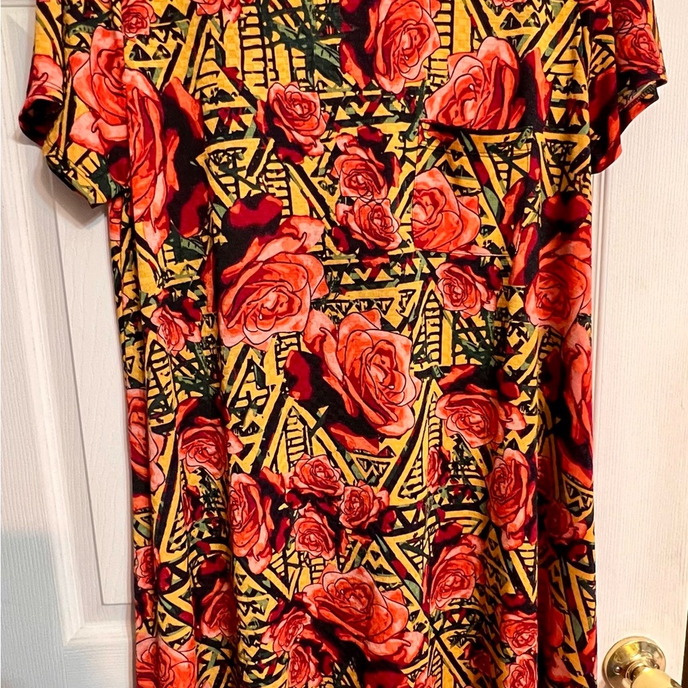 LuLaRoe Multicolor Floral Carly Dress